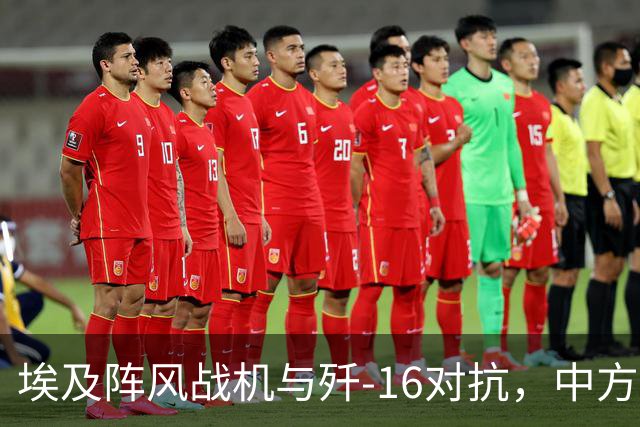 埃及阵风战机与歼-16对抗，中方飞行员：埃方飞行员让人印象深刻