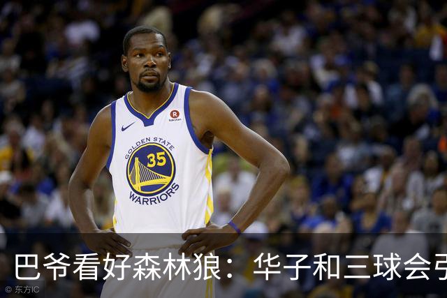 巴爷看好森林狼：华子和三球会引领球队新高度