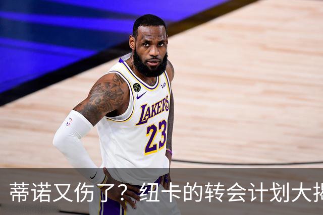 蒂诺又伤了？纽卡的转会计划大揭秘！